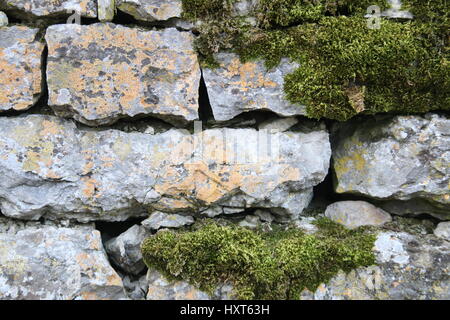Natursteinmauer mit vielen Moos drauf Stockfoto