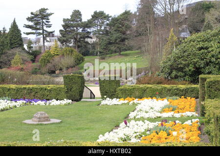 Tunbridge Wells,UK.30th Mar 2017.UK Wetter. Blumen in voller Blüte in Calverley park, Tunbridge Wells, uk Credit: Ed Brown/Alamy Live News Stockfoto