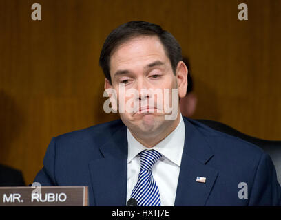 Washington DC, USA. 30. März 2017. Vereinigte Staaten Senator Marco Rubio (Republikanische von Florida), Fragen der Zeugen während uns Senate Select Committee on Intelligence öffentliche Anhörung mit dem Titel "Desinformation: A Primer in russischen aktive Maßnahmen und Einfluss Kampagnen auf dem Capitol Hill in Washington, DC auf Donnerstag, 30. März 2017. Bildnachweis: Ron Sachs/CNP/MediaPunch/Alamy Live-Nachrichten Stockfoto