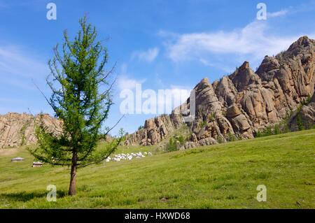 Mongolische Jurten in Gorkhi Terelji Nationalpark, Mongolei Stockfoto