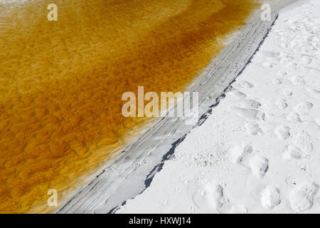 Rand eines Baches Tannin gebeizte mit Möwe Fußabdrücke grün Patch Beach, einem malerischen Strand mit feinem weißen Sand in Jervis Bay, Booderee Nationalpark Stockfoto