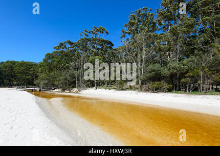 Tannin-gefärbten Bach fließt ins Meer bei Green Patch Beach, Booderee Nationalpark, Jervis Bay, New South Wales, NSW, Australien Stockfoto