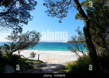 Access Point zu malerischen Murray Beach, einem malerischen Strand mit feinem weißen Sand in Jervis Bay, Booderee National Park, New-South.Wales, NSW, Australien Stockfoto