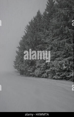 Schneefall und verschneiten Weg entlang Waldrand mit schneebedeckten Tannen und Spuren im Schnee läuft Stockfoto