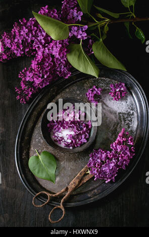 Lila Blüten in Zucker Stockfoto