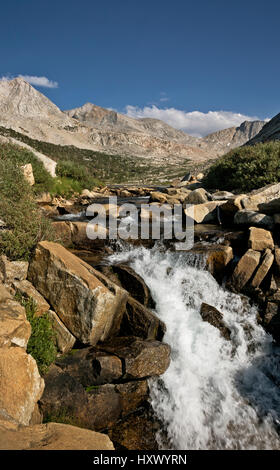 CA03134-00... Kalifornien - kleine Kaskade auf Palisade Creek entlang der JMT/PCT in der Sequoia und Kings Canyon Wilderness. Stockfoto