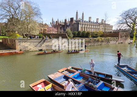 Cambridge UK - Cambridge Stechkahn fahren auf dem Fluss Cam von Trinity Hall und Clare Colleges, die Rücken, Cambridge England Stockfoto