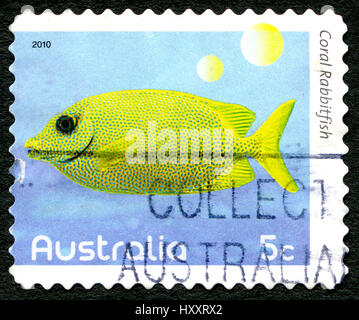 Australien - ca. 2010: Eine gebrauchte Briefmarke aus Australien, ein Bild von einem Korallen-Kaninchen, ca. 2010. Stockfoto