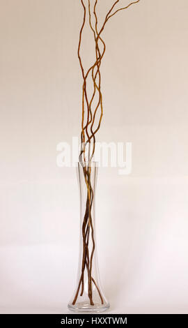Getrocknete Stiele in eine transparente vase Stockfoto