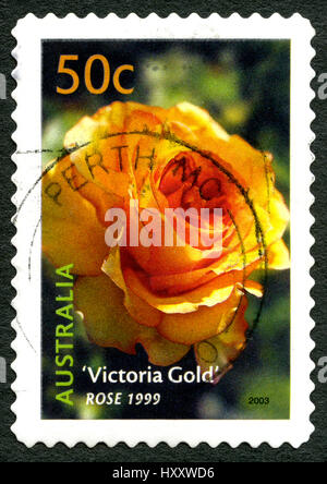 Australien - CIRCA 2003: Eine gebrauchte Briefmarke aus Australien, ein Bild einer Victoria Gold Rose, circa 2003. Stockfoto