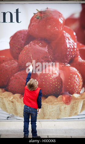 Kleines Kind suchen bei großen Strawberry Tart-Werbeplakat. Stockfoto