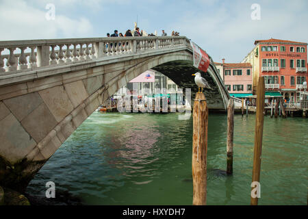 Frühling am Nachmittag an Scalzi Brücke über den Canal Grande in Venedig, Italien. Mit Blick auf das Sestiere von Cannareggio. Stockfoto