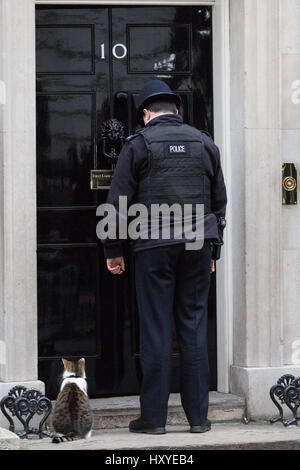 London, UK. 30. März 2017. Ein Polizist lässt Larry, Chief Mouser, Cabinet Office, in 10 Downing Street. Stockfoto