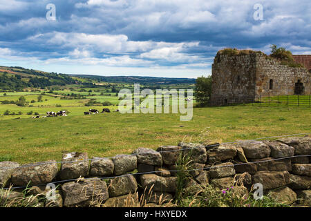 Danby Burg, North York Moors, Scarborough, England, Vereinigtes Königreich Stockfoto