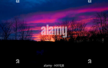 Sunset Sky Stockfoto