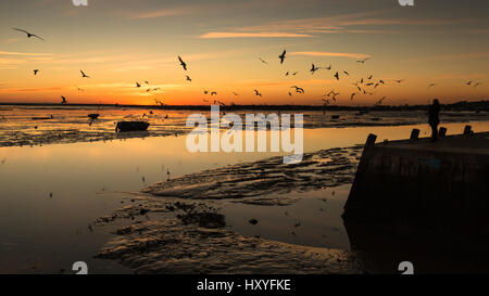 Fischerei-Hafen Hafen Sonnenuntergang Möwen fliegen Ebbe Stockfoto