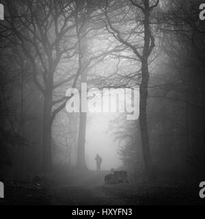 Dog Walker im Nebel im Wald, Wald, Hockley Wald, Esse Stockfoto