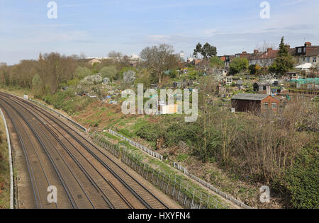 Öffentliche Kleingärten neben der Bahnlinie in Brockley, südöstlichen London wo Anwohner Obst und Gemüse wachsen. Canary Wharf über hinaus zeigt. Stockfoto