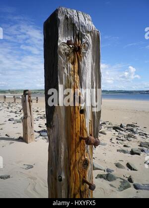 Alten verwitterte Holzpfosten mit rostigen Nägeln stehen Wächter wie am Strand in der Nähe von Crow Punkt auf North Devon Küste, England UK zu wachen. Stockfoto