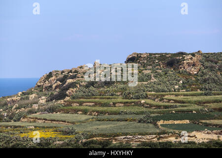 Eine typische mediterrane Landschaft im Frühling Stockfoto