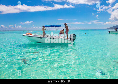 Tiahura, Moorea, Französisch-Polynesien Stockfoto