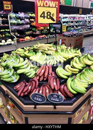 Sortiment von Bananen in der Gemüseabteilung Stockfoto