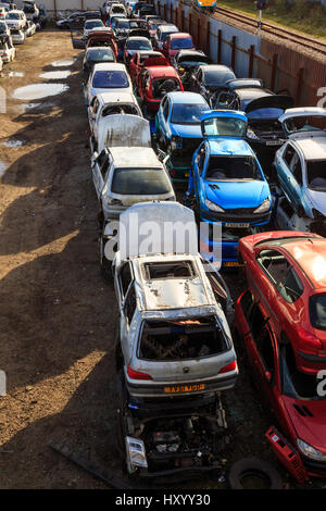 Grimsby, England - März 14: Reihen von alten trashed Autos in Schrottplatz. In Grimsby, North Lincolnshire, England. Am 14. März 2017. Stockfoto