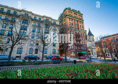 Tulpen und Gebäude entlang der Charles Street in Mount Vernon, Baltimore, Maryland. Stockfoto