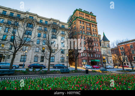 Tulpen und Gebäude entlang der Charles Street in Mount Vernon, Baltimore, Maryland. Stockfoto