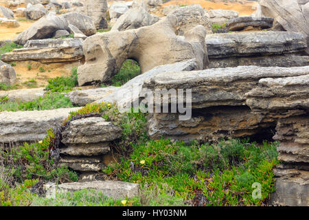 Felsformationen und Blumen am Ufer (Peniche, Portugal). Stockfoto