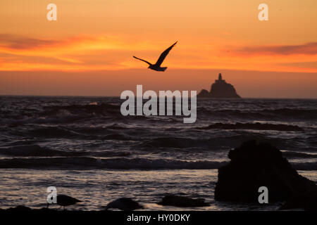 Sonnenuntergang über Leuchtturm auf felsige Insel mit Möwen fliegen durch helle Orage Himmel in sihlouette Stockfoto