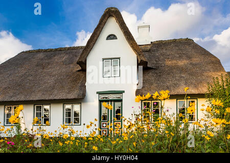 friesische Haus, Keitum, Sylt, Deutschland Stockfoto