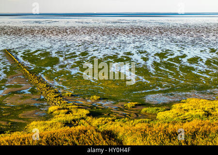 Wattenmeer, Sylt, Deutschland, Europa Stockfoto