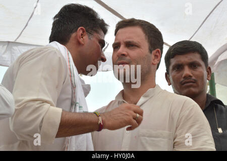 Rajasthan, Kongress-Chef, Sachin Pilot und Rahul Gandhi, Indien, Asien Stockfoto