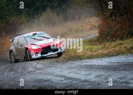 Kris Meeke in der Citroen DS3 World Rally Car auf der Dyfnant Bühne von der 2016 Wales Rally of Great Britain, Bestandteil der FIA World Rally Championship Stockfoto