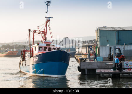 Teignmouth Trawler, andocken, um den Fang von Fischen auf dem Fisch-Kai in Teignmouth, Devon, UK zu entladen. Zwei junge Männer sind auch auf einem Ponton Angeln. Stockfoto