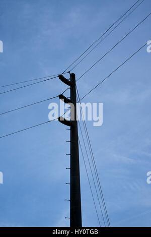 Stromleitungen Silhouette gegen den Abendhimmel in der Nähe von Vernon, Alabama. Stockfoto