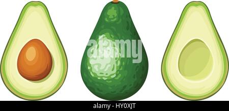 Vektor einrichten von ganzen und geschnittenen avocado Obst auf einem weißen Hintergrund. Stock Vektor