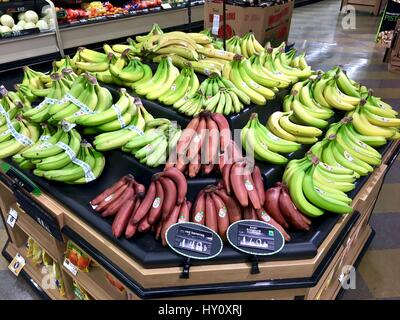 Sortiment von Bananen in der Gemüseabteilung Stockfoto