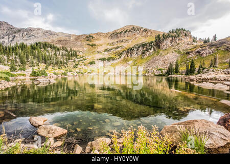 Nahaufnahme der Cecret See mit den Bergen in Albion Basin, Utah Stockfoto