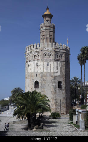 Torre del Oro Golden Tower in Sevilla Spanien Stockfoto
