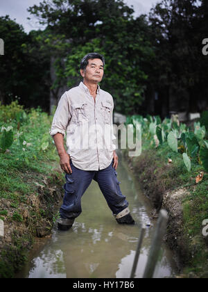 Mapopo Landwirte in den neuen Gebieten, Hong Kong.  Nur sieben Quadratkilometer Ackerland gibt es jetzt in Hong Kong.  Sie kämpfen, Regierung, zu halten. Stockfoto