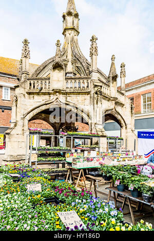 Salisbury, Geflügel zu überqueren, am Marktplatz Stockfoto