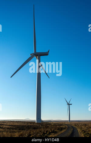 Causeymire-Windpark in der Nähe von Thurso, Caithness, Schottland, UK Stockfoto