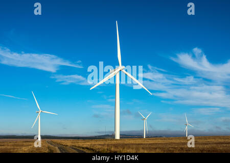 Causeymire-Windpark in der Nähe von Thurso, Caithness, Schottland, UK Stockfoto