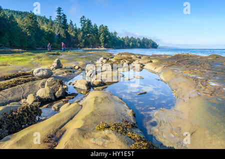 Felsen und Tidepools, Cable Bay, Galiano Island, British Columbia, Kanada Stockfoto