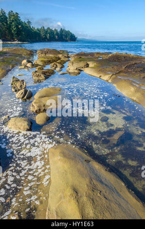 Felsen und Tidepools, Cable Bay, Galiano Island, British Columbia, Kanada Stockfoto