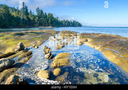 Felsen und Tidepools, Cable Bay, Galiano Island, British Columbia, Kanada Stockfoto