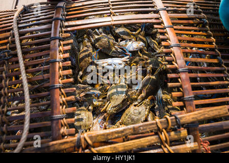 Krabben Sie-Markt in Kep, Kambodscha, Asien. Stockfoto