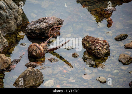 Seltsame Mischung aus künstlichen Objekte und Natur im Glas Beach im MacKerricher State Park in der Nähe von Fort Bragg, Kalifornien, ehemaligen Gelände der einer Müllhalde gefunden. Stockfoto